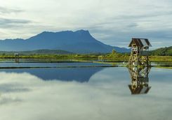 View of Mount Kinabalu