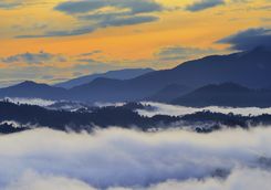 Sunrise over the Danum Valley