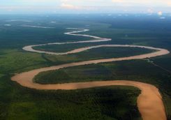 Meanders of the Danum river