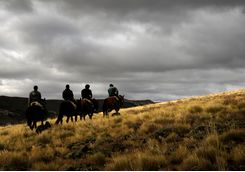 Horse trekking in the wilderness