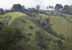 The hills of Armenia