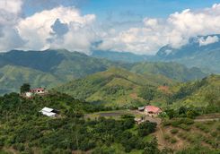 Colombian coffee farm