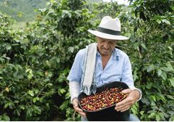 Coffee farmers with beans