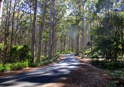 Roads in Margaret River