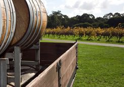 Wine barrels