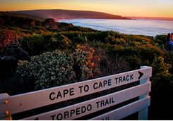 Cape track