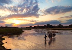 Walking safari at dusk