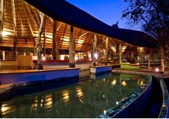 Lion Camp pool
