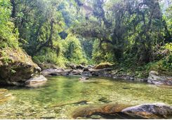 Lagoon in Tayrona National Park