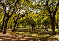 Park in Recoleta