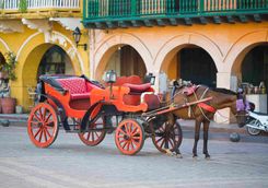 Horse drawn carriage