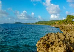Coral reef off San Andres