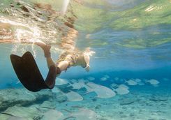 Snorkelling off San Andres
