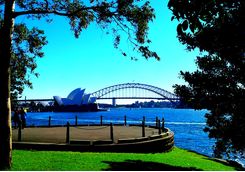View to the Opera House and Harbour Bridge in Sydney