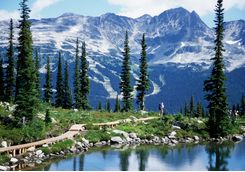 Snowy mountains in Whistler