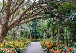 Botanical Gardens Sydney