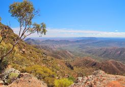Flinders Range