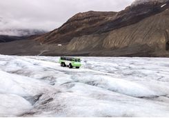 Brewster Snocoach, Athabasca Glacier