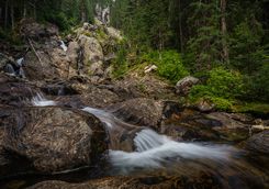 Silver tip falls