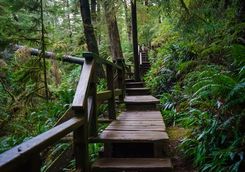 Ucuelet stairs on Vancouver Island