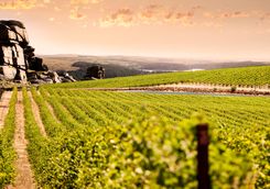 Barossa Valley