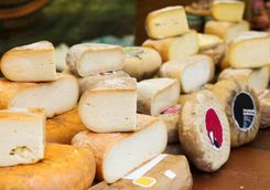Various sorts of cheese