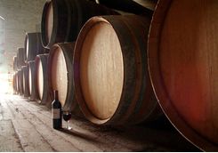 wine barrels and wine