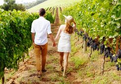 Persons having a walk in Barossa