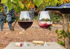 Glasses filled with wine