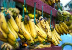 Banana's in the market