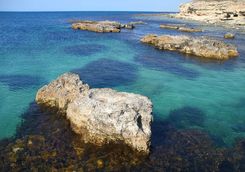 Rocky shore