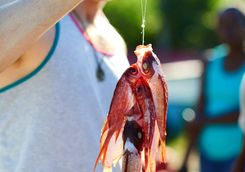 Deep sea fishing