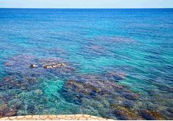 Snorkelling at GoldenEye