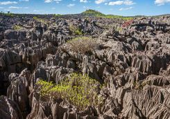 Tsingy of Ankarana