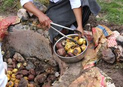 Traditional potato cooking