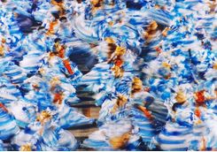 Dancers dressed in blue