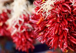 Red chili