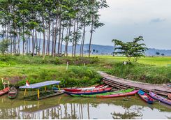 Fishing boats