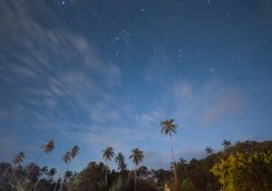 Stars in Terengganu