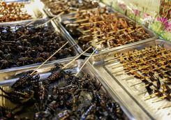 Food Market in Siem Reap