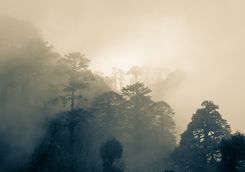 Misty skies