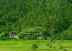 Amankora Punakha