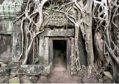An entrance inside a temple
