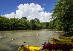 Rafts on a River