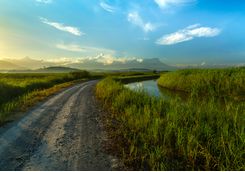 A Cycling Path