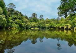 An Oxbow Lake