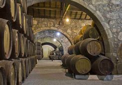 Porto barrels in a cellar