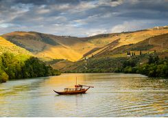 Boat cruising along the river Douro