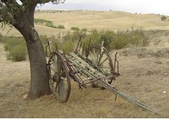 Old wagon