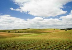 Rolling green fields
